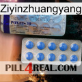 Ziyinzhuangyang 39